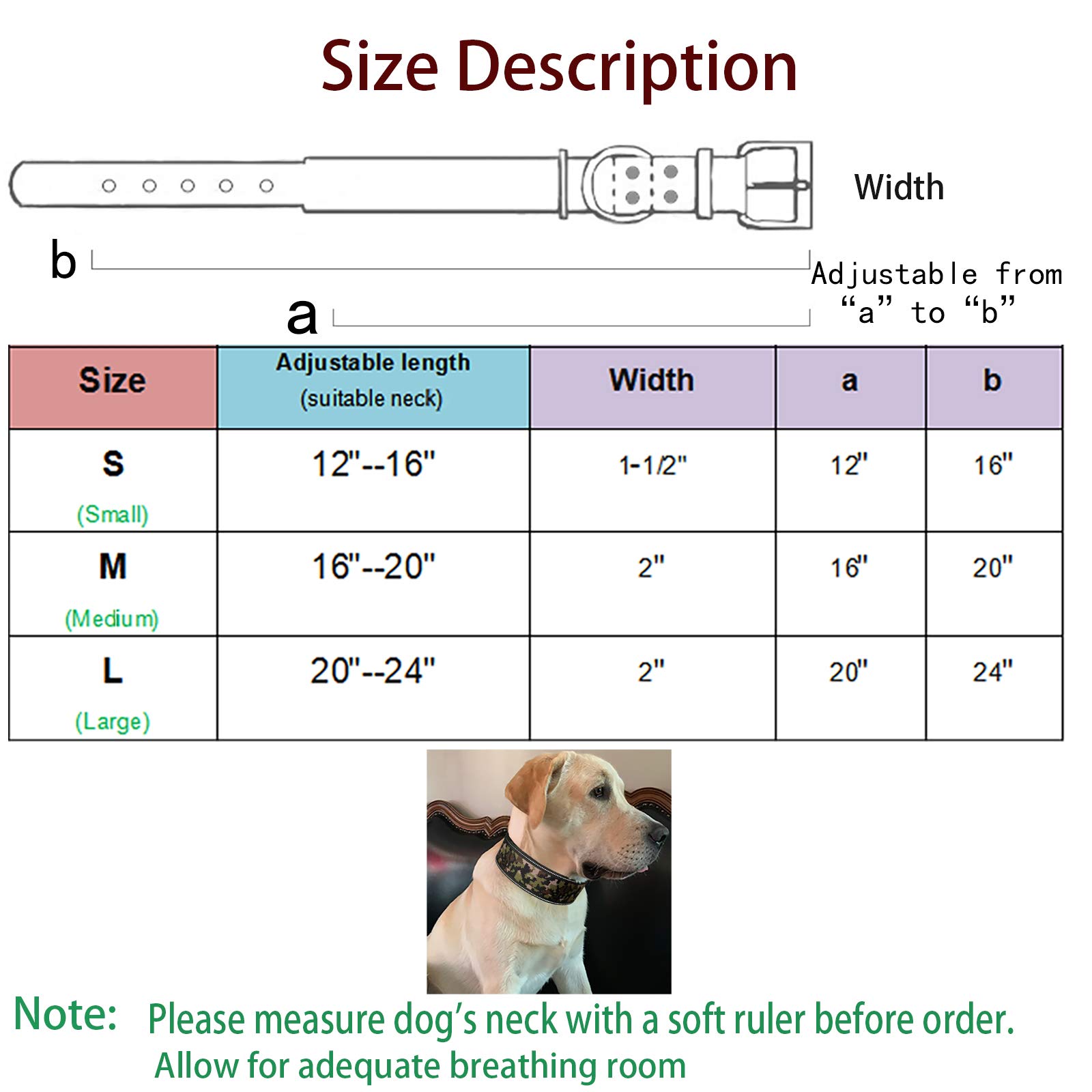 Reflective Adjustable Heavy Duty Padded Dog Collar with Soft Lining - 2