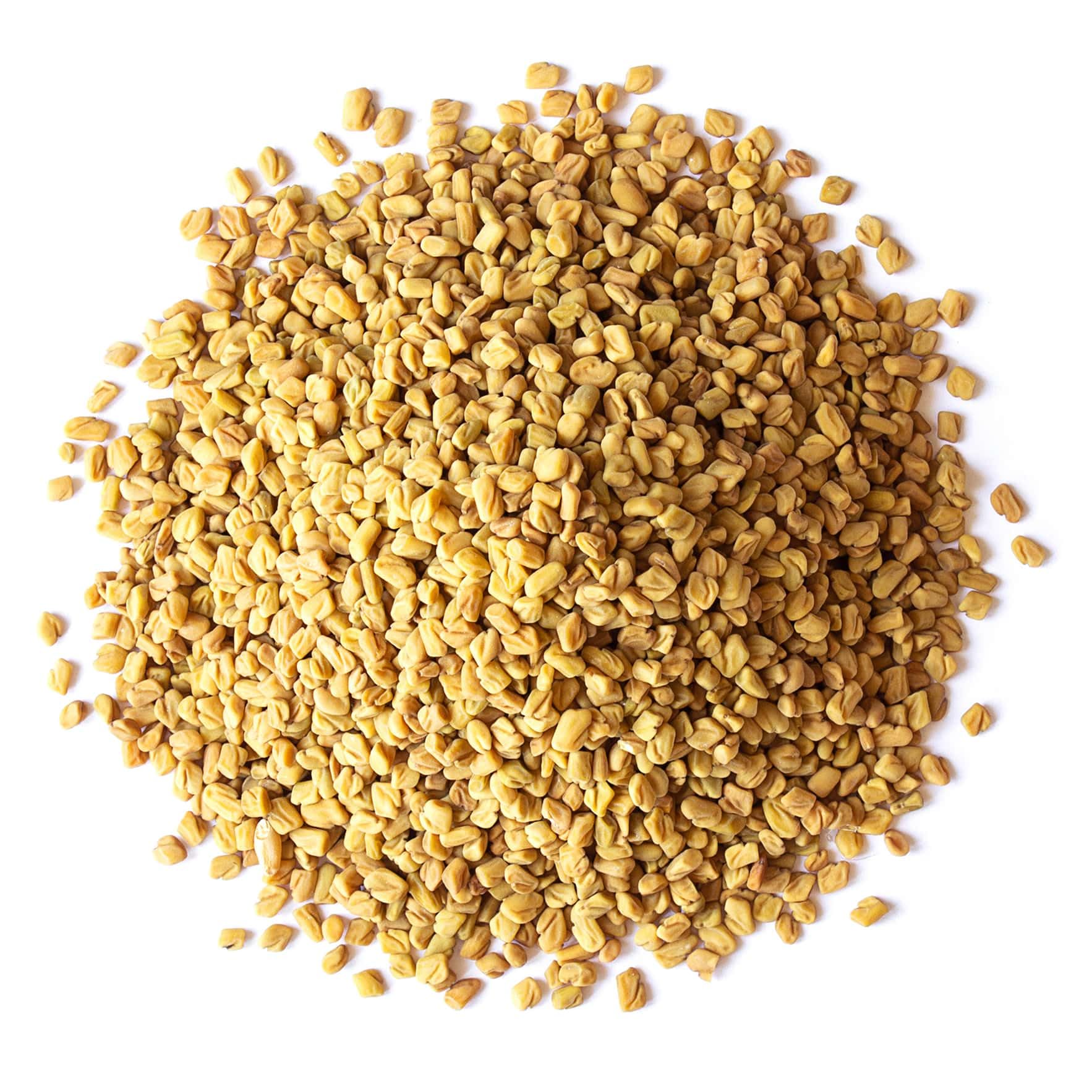 Organic Fenugreek Seeds - Non-GMO, Raw, Whole Methi, Kosher, Vegan, Bulk (20lbs) | Rich in Iron, Copper & Fiber | Perfect for Indian Cooking, Herbal Tea & Natural Remedies