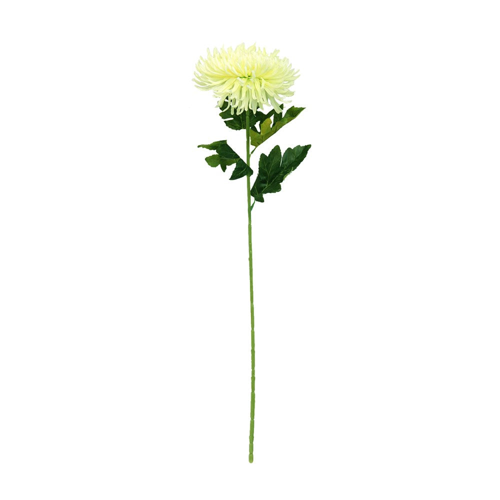 Artificial Spider Mum Stem 70cm - Realistic Green Silk Flower Stems for Home Decor, Wedding Arrangements, and DIY Crafts