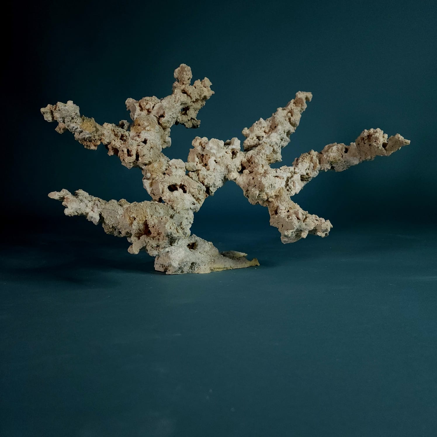 Premium Custom Dry Live Rock for Aquascaping - Natural Reef Aquarium Decor #12 | Perfect for Saltwater Tanks, Coral Propagation & Marine Habitat Setup