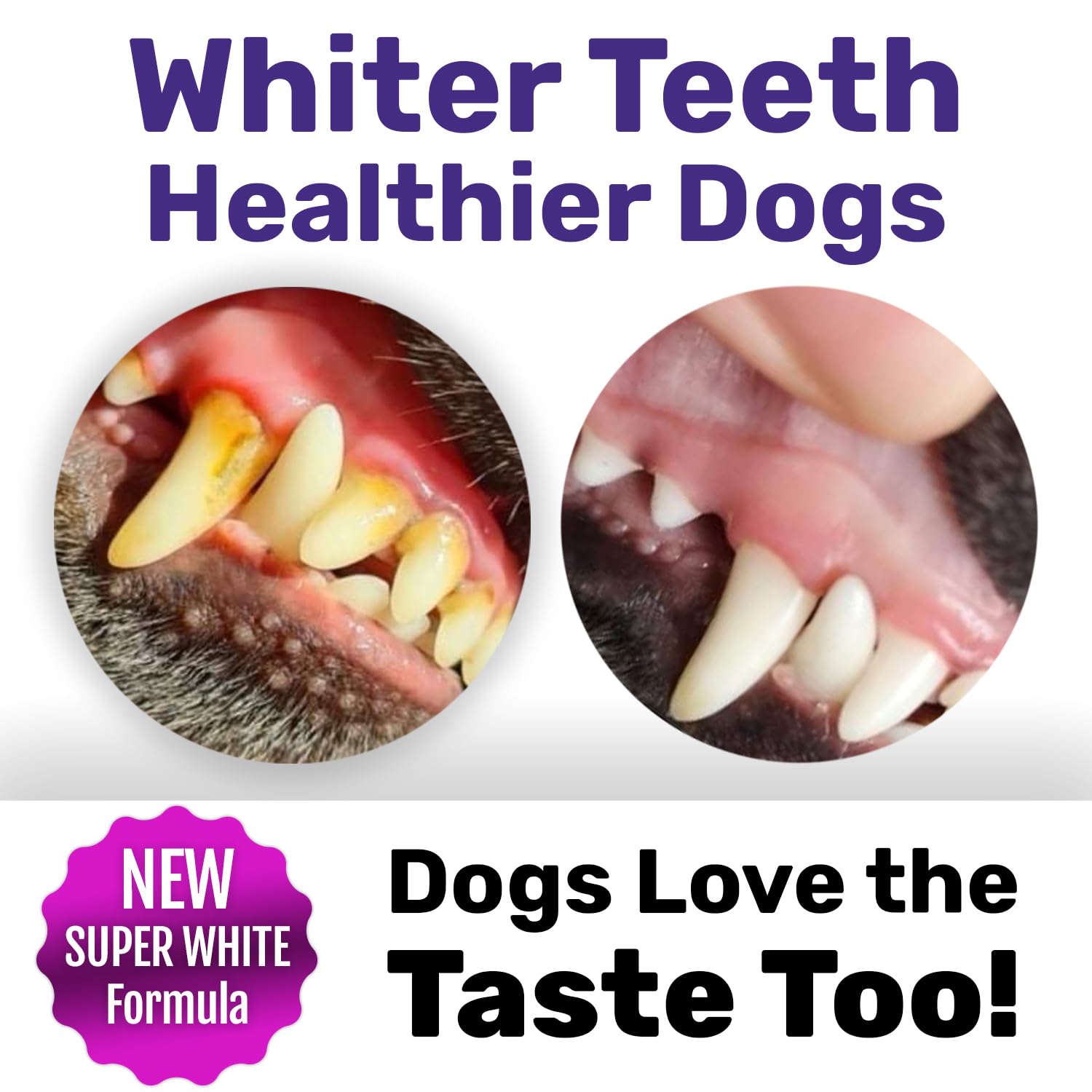 Natural Dental Powder for Dogs - Plaque & Tartar Control, Fresh Breath & Healthy Gums - No Brushing Needed - Ideal for Large Breed Dogs - Perfect for Daily Oral Care & Dental Hygiene Maintenance