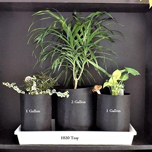 Bootstrap Farmer 5 Gallon Fabric Grow Bags with Handles - 10 Pack | Durable Plant Pots for Vegetables, Herbs & Flowers | Indoor/Outdoor Gardening & Container Planting