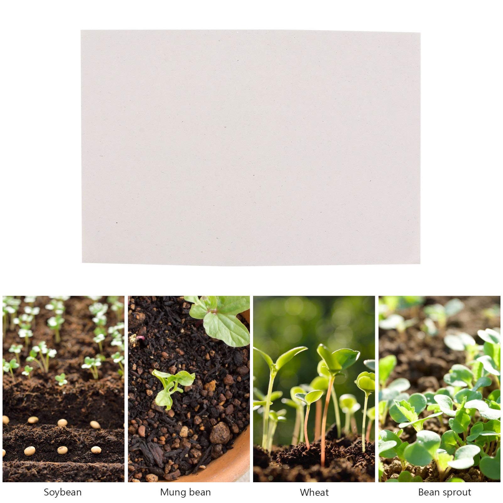 100pcs Germination Paper for Plants - 26x18cm Moisturizing Leak-Proof Sprouter Paper for Vegetables, Flowers & Seeds | Light Grey Peat Paper | Ideal for Indoor Gardening, Hydroponics & Seed Starting Kits