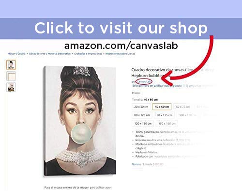 Mayka Ienova Canvas Wall Art - Audrey Hepburn Fashion Illustration, 30x40 Inch Celebrity Decor for Living Room, Bedroom & Office | Holly Golightly Movie Art, Girl Power Home Decor