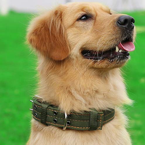 Military Adjustable Dog Collar - 2'' Wide Heavy Duty Nylon Tactical Collar with D-Ring & Buckle for Large Dogs - Perfect for Outdoor Training, Hiking & Security Work