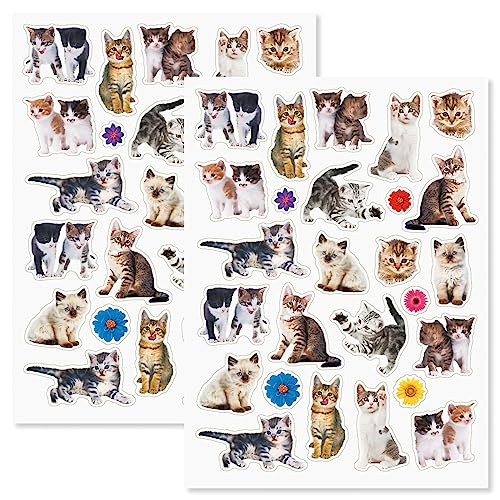 Kittens
