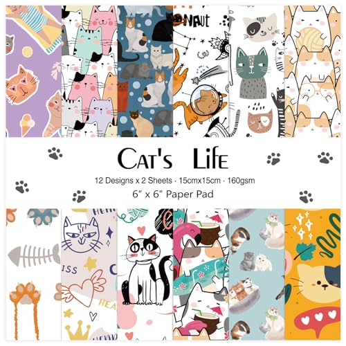 160 GSM-cat's life