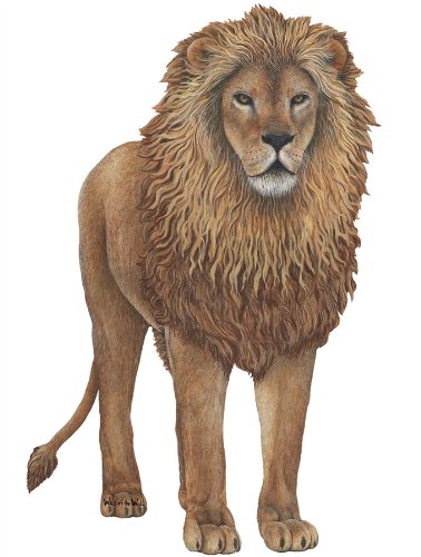 Wild Jungle Wildlife Wall Decals Collection #3 - Tropical Animal Wall Stickers for Kids Room, Nursery & Home Decor - Perfect for Jungle Theme Bedrooms & Playrooms