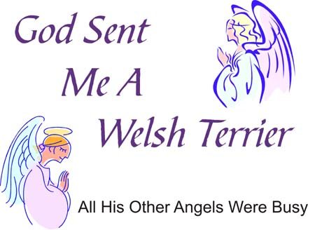God Sent Me A Welsh Terrier T-Shirt - Funny Dog Lover Gift - Premium Cotton Tee for Men & Women - Perfect for Casual Wear, Pet Owner Apparel, and Welsh Terrier Enthusiasts