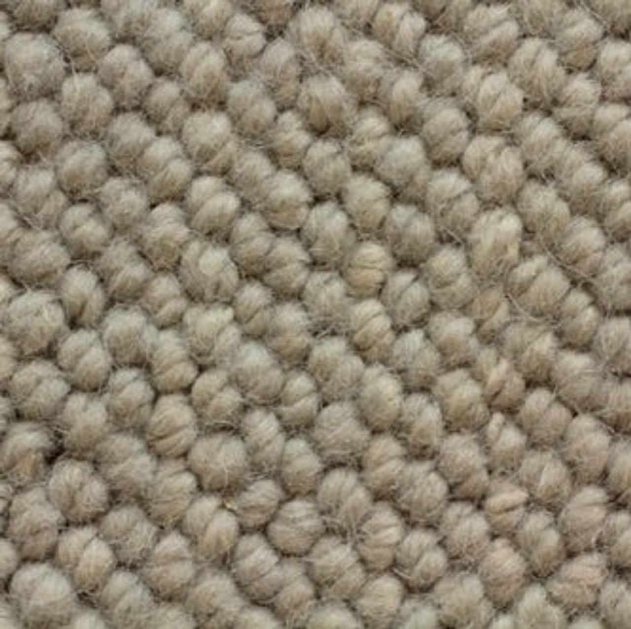 Antrim Broadloom Wool Carpet Jaipur King – 15 ft Wide Premium Handmade Rug for Living Room, Bedroom & Office Decor