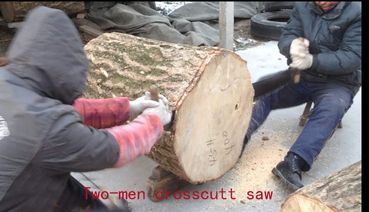 6 Foot Two Man Crosscut Saw - Heavy Duty Logging & Wood Cutting Tool for Forestry, Camping, and Outdoor Survival