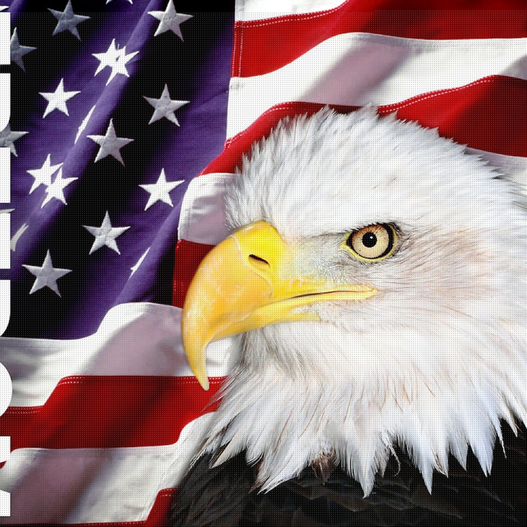 Freedom Flag & Eagle Square Bumper Sticker 3