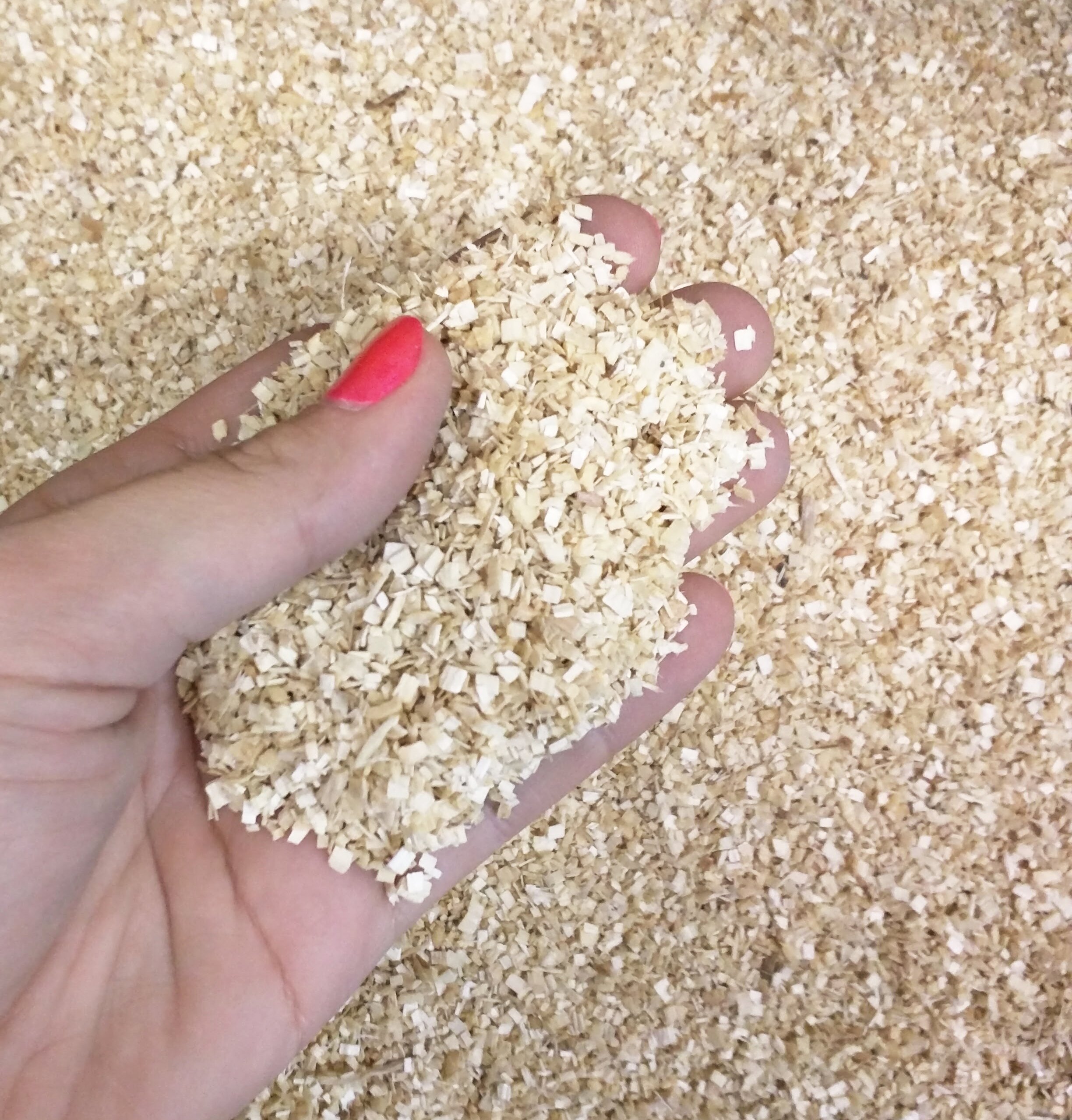 P.J. Murphy Sani-Chips - Premium Aspen Snake Bedding & Reptile Substrate, 22.9 lbs Forest Floor Mulch for Terrariums, Vivariums & Pet Habitats