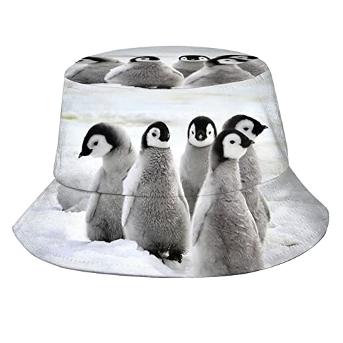 Penguin 09