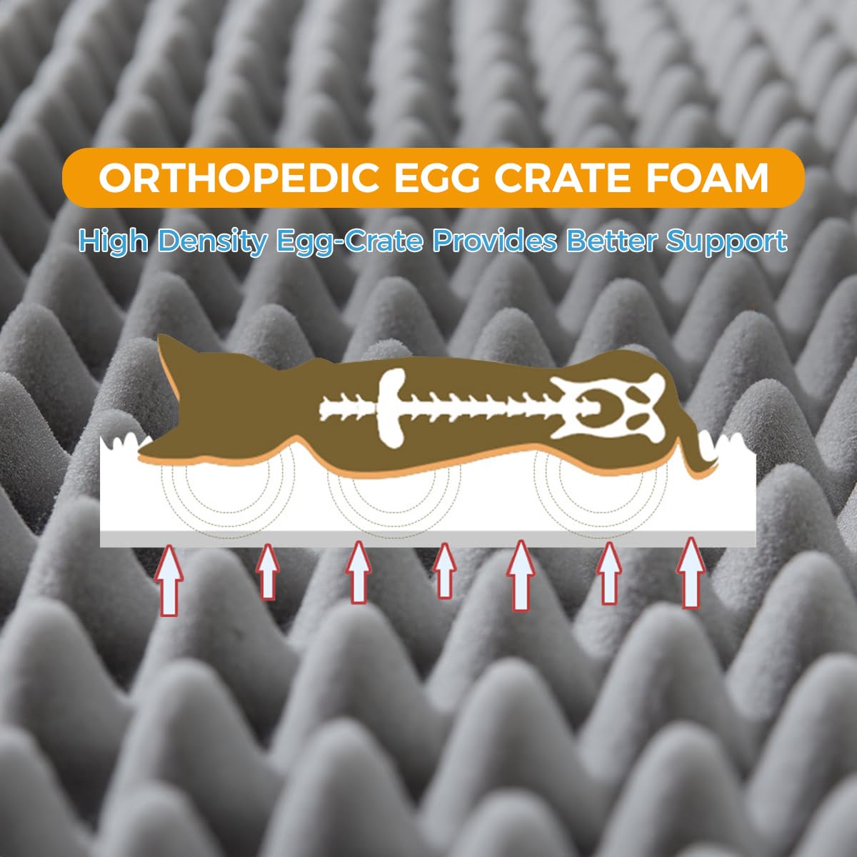 **Orthopedic Dog Bed Medium Size - Washable Removable Cover, Waterproof Pet Sofa for Small to Medium Dogs - Perfect for Home, Crate & Travel Use**