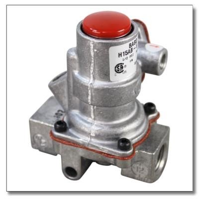 Vulcan 00-498025 SAFETY VALVE - BASO Replacement Part for Vulcan Commercial Kitchen Equipment | Perfect for Restaurants, Catering & Food Service Maintenance