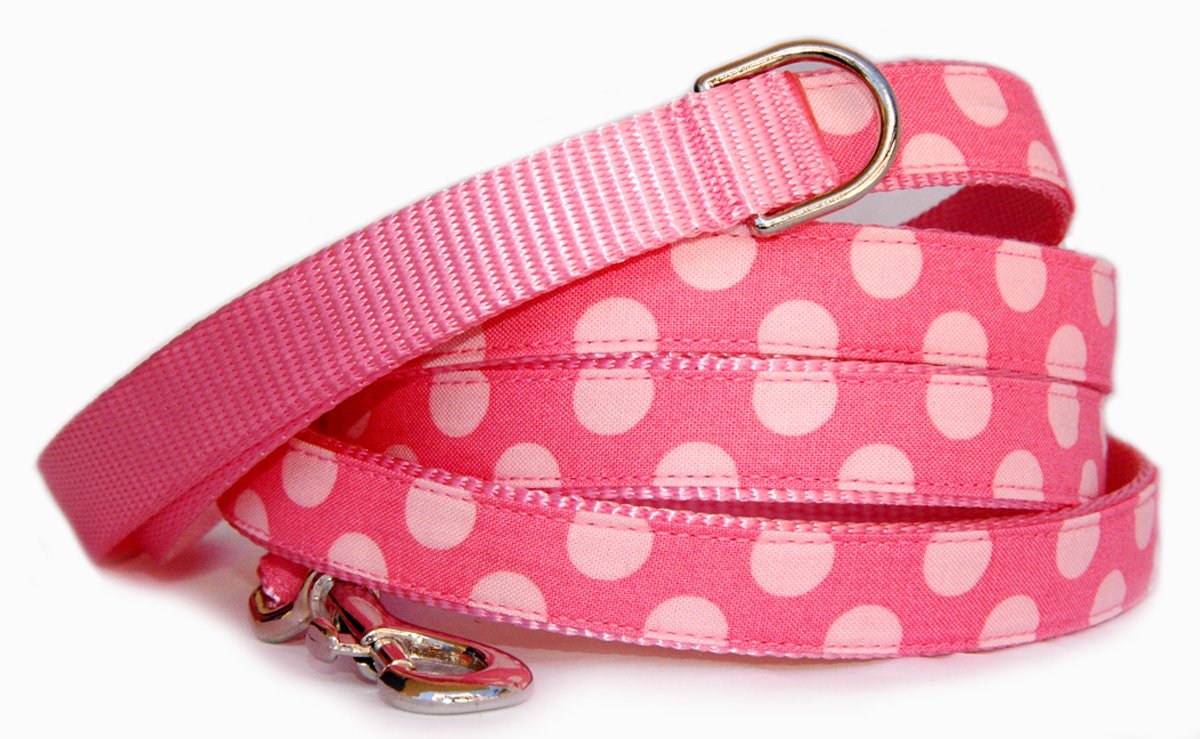 A Walk to Remember: The Tale of Bella and Her Polka Dot Leash