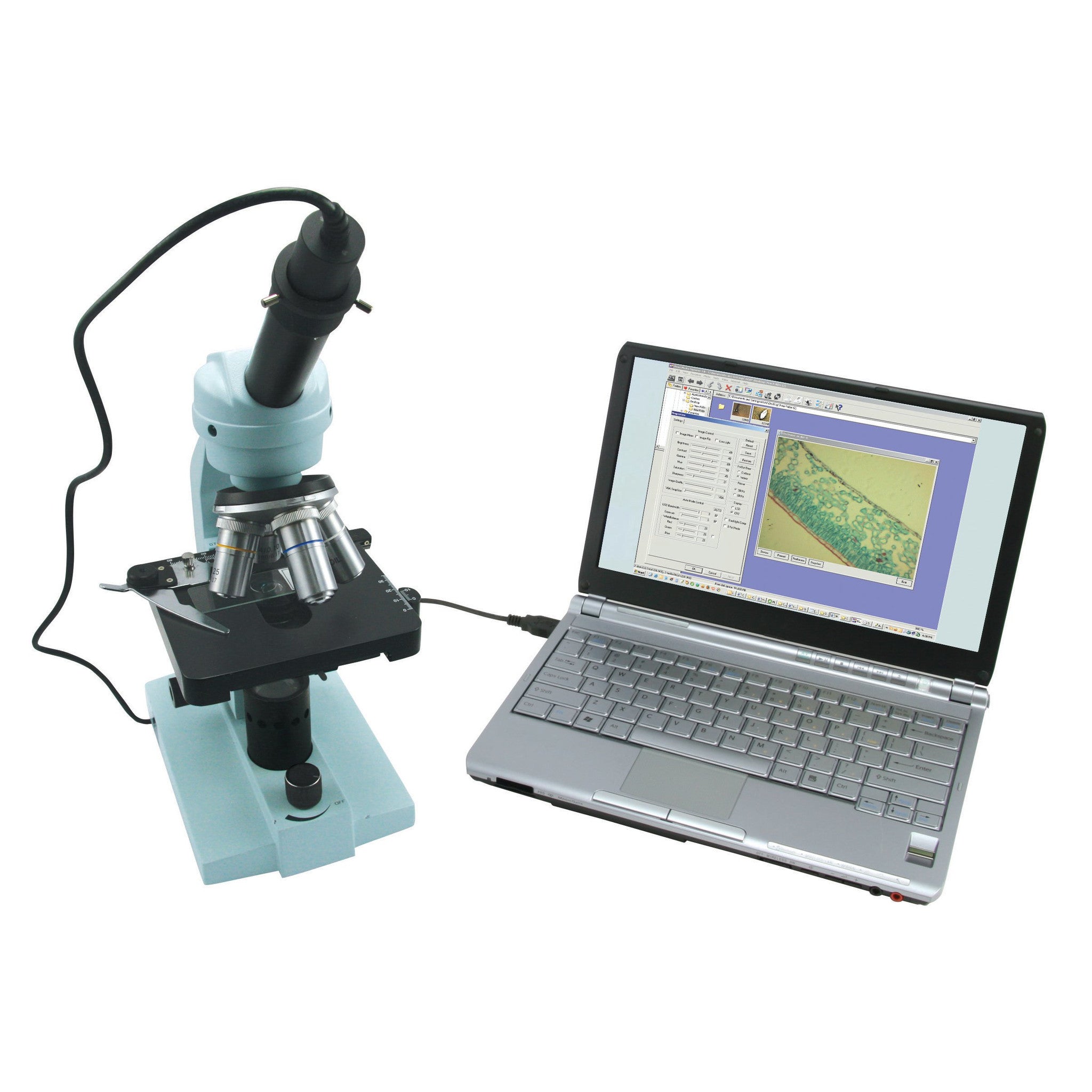 Celestron 44421 Digital Microscope Imager - High Resolution USB Microscope for Science, Education & Hobbyists - Perfect for Lab Research, Coin Collecting & Electronics Inspection
