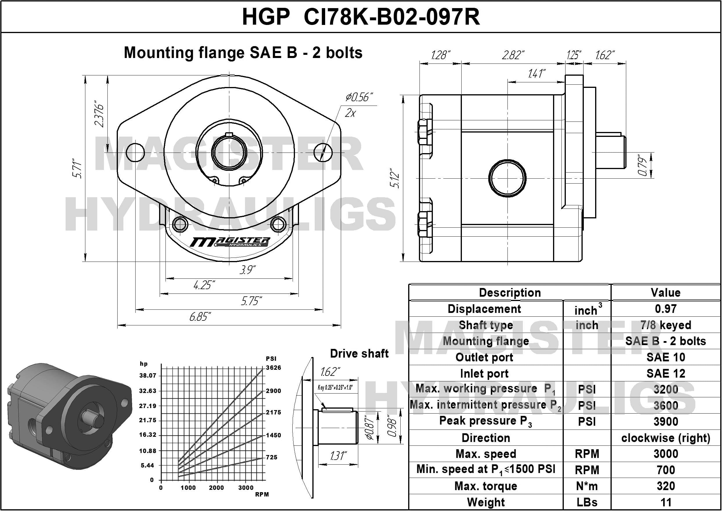 Magister Hydraulics Gear Pump - 7/8