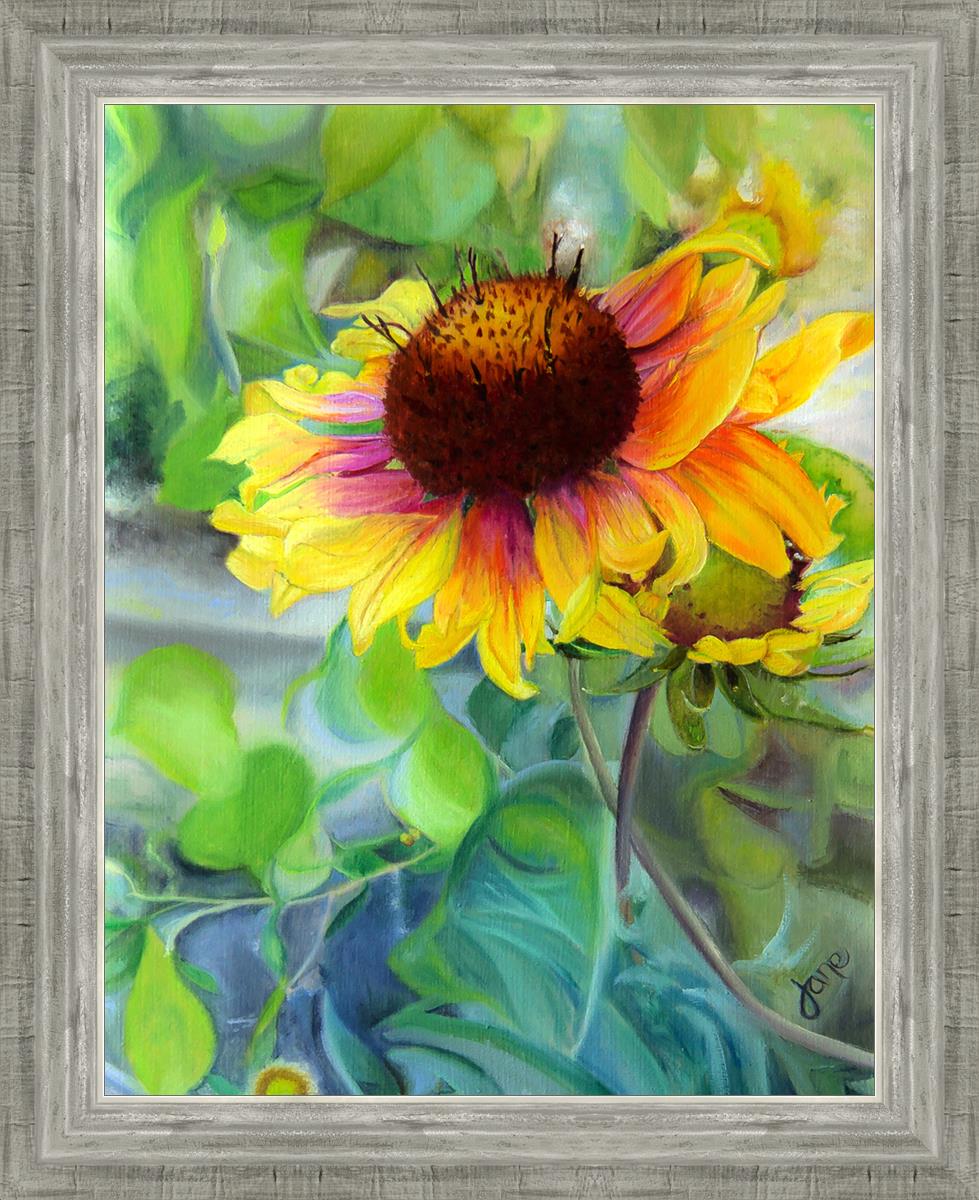 Vibrant Indian Blanket Flower Seeds - Gaillardia Pulchella for Colorful Garden Borders & Pollinator-Friendly Landscapes