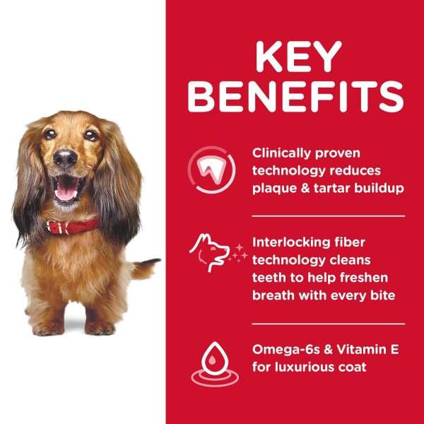 Science Diet Adult Oral Care Dry Dog Food 4lbs - Free Bag + 20% OFF | Dental Health Dog Food for Bad Breath & Tartar Control | Perfect for Daily Feeding & Teeth Cleaning at Home