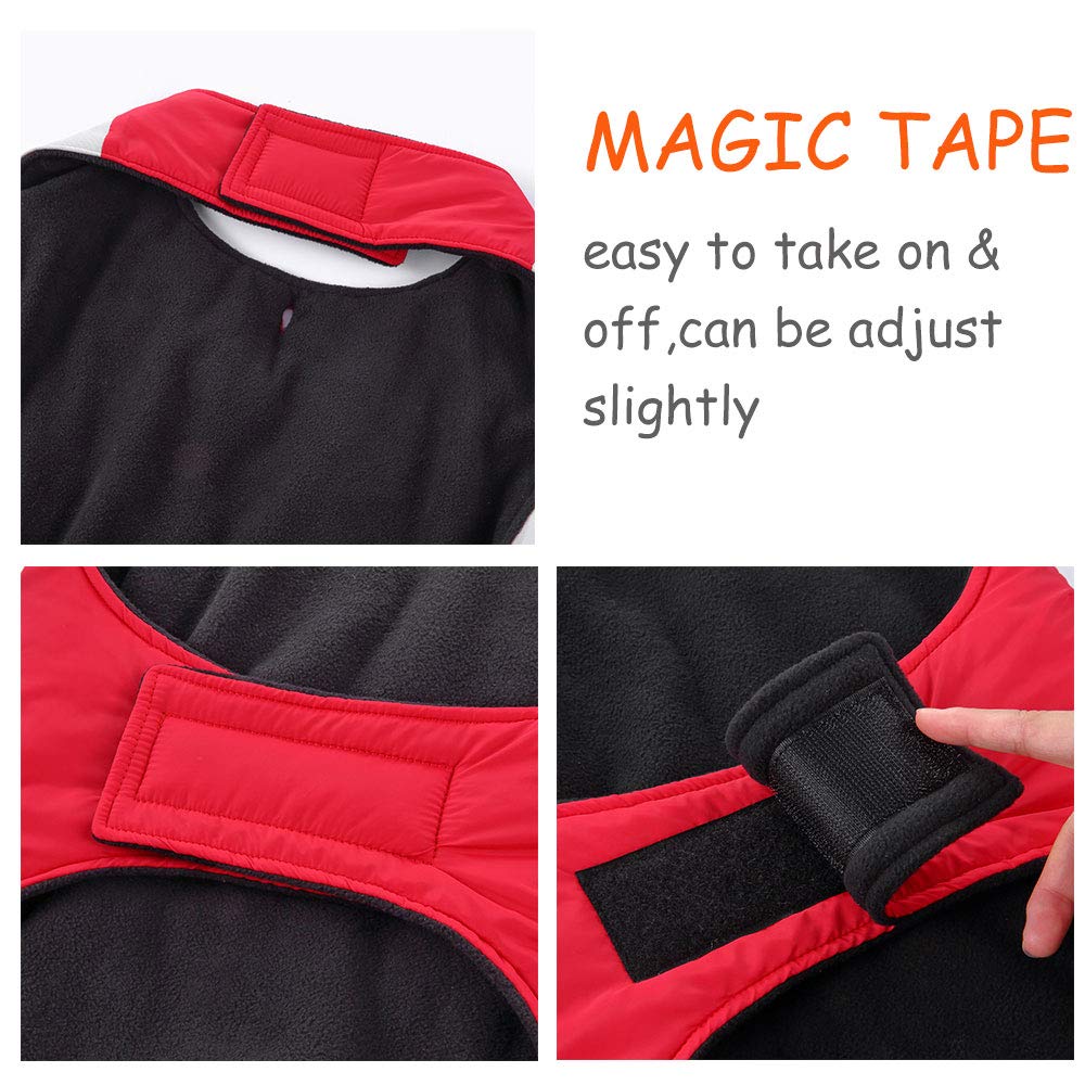Dog Winter Coat - Warm Vest for Small to Large Dogs - Outdoor & Water Sports