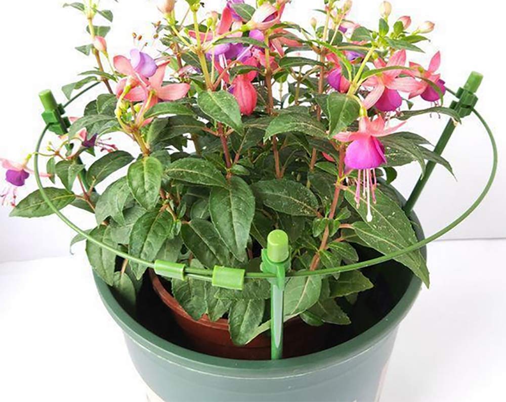 **5 Pack Dark Green Adjustable Plant Support Cages for Climbing Vines, Amaryllis, Orchids, Lily, Roses & Tomatoes - Sturdy Garden Trellis Rings for Indoor & Outdoor Plants**
