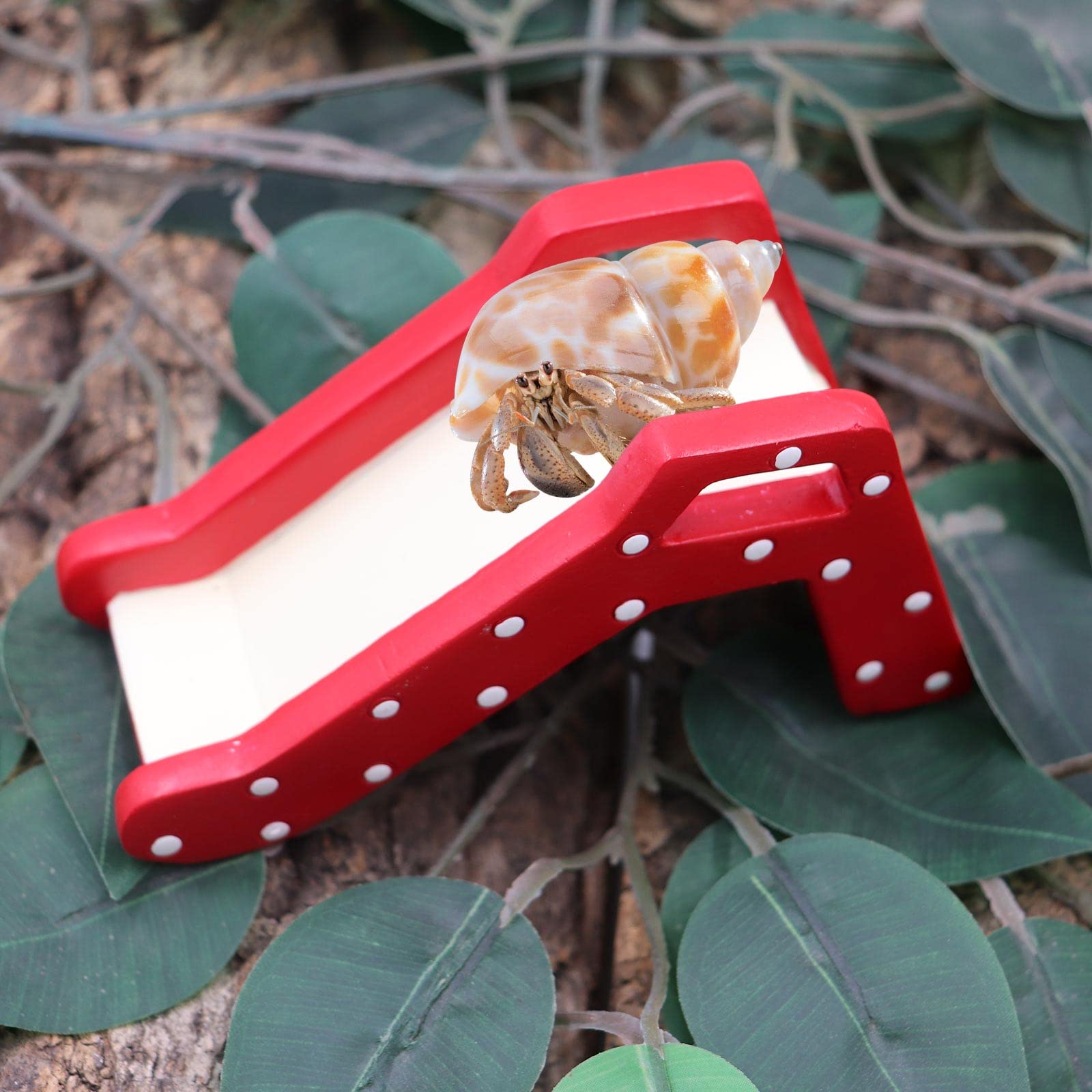 Hermit Crab Climbing Ladder Bridge - Durable Resin Reptile Climbing Toy for Small Pets - Cage & Tank Accessory for Hermit Crabs, Hamsters, Rats - Perfect for Climbing Exercise & Habitat Enrichment