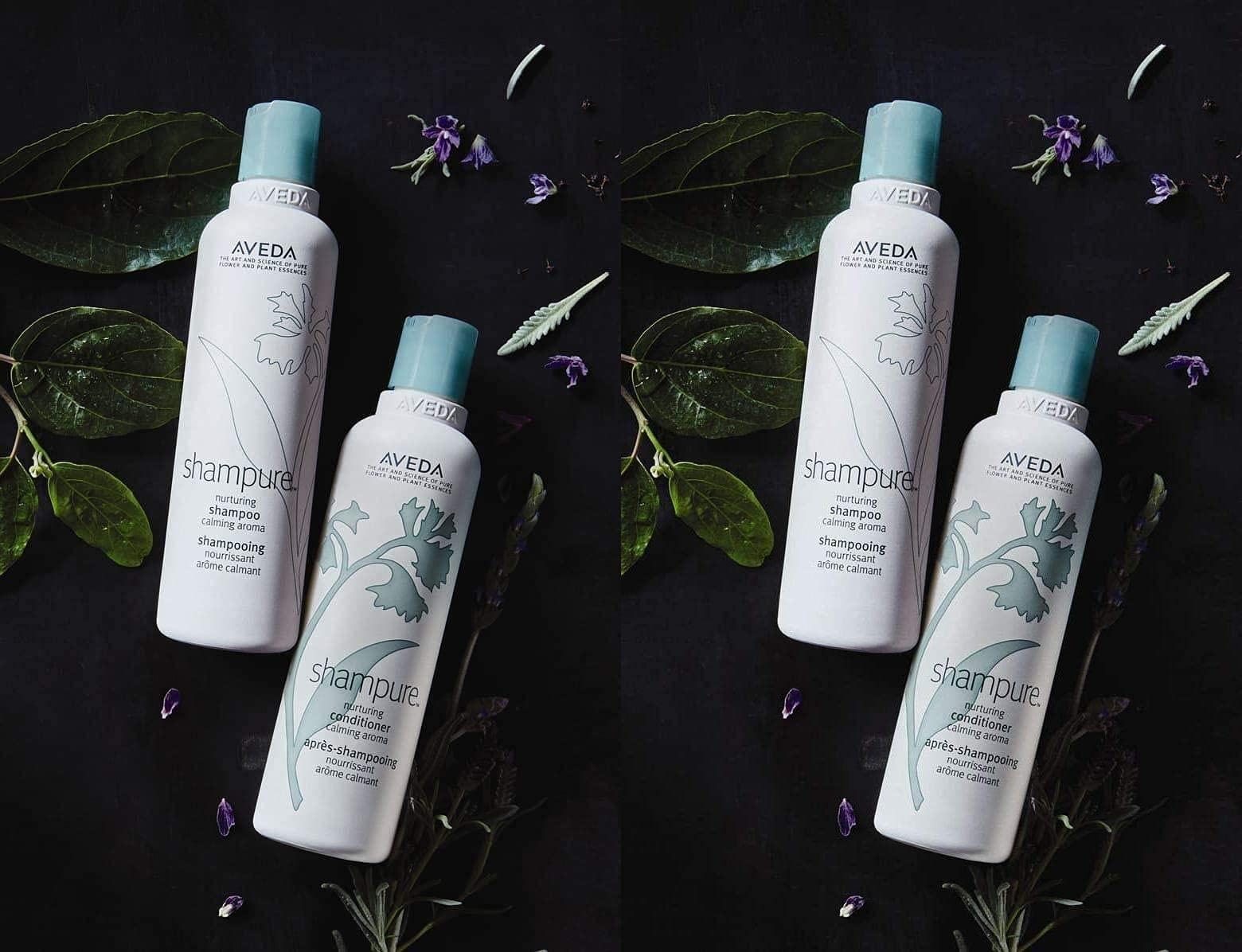 Shampure Nourishing Shampoo & Conditioner Set - 8.5oz Duo for Dry & Damaged Hair - Sulfate-Free Hair Care for Daily Moisture & Repair - Perfect for Home & Salon Use