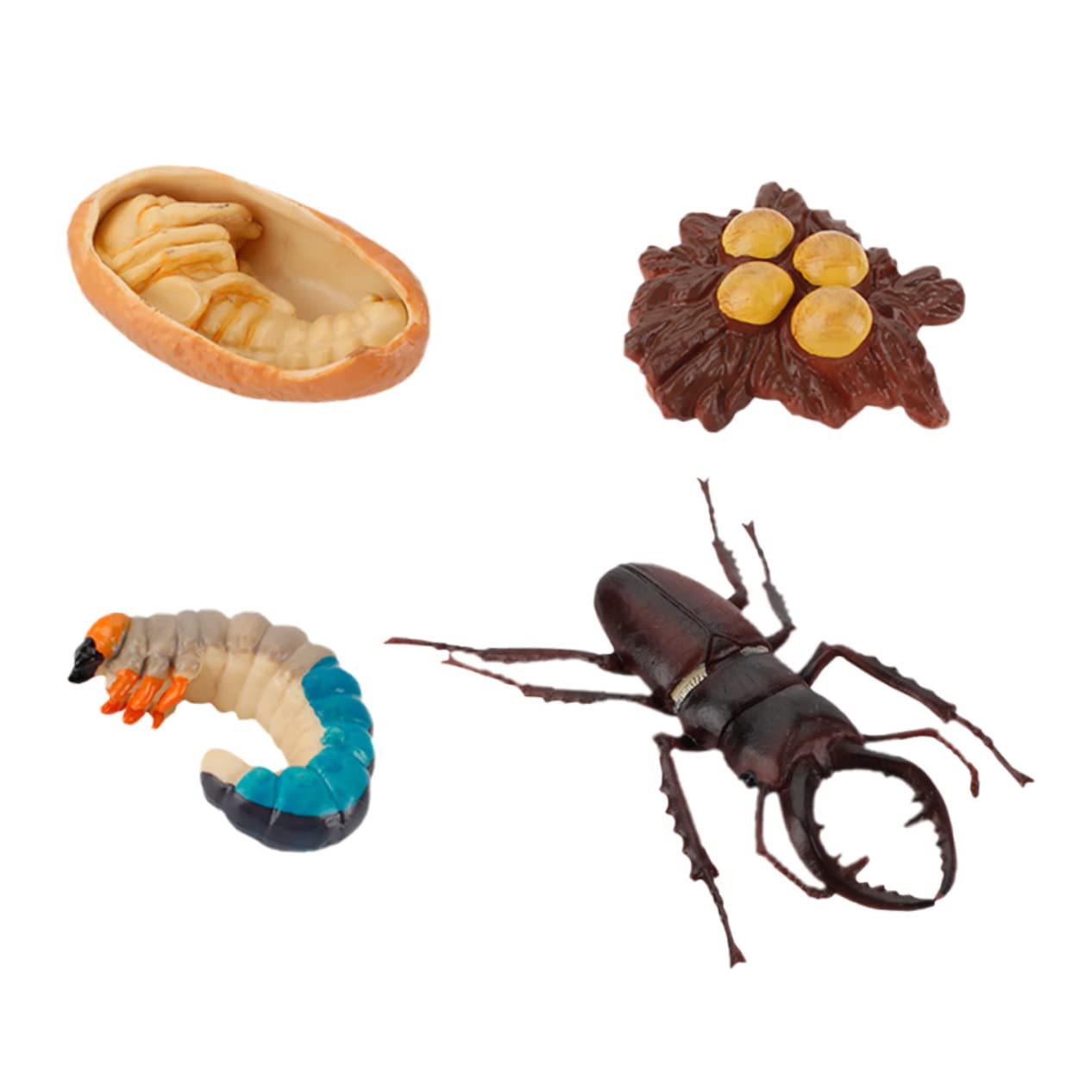 ifundom 4pcs Life Cycle of a Butterfly Toys - Realistic Caterpillar to Butterfly Growth Stages, Educational Science Kit for Kids, Montessori Learning Figurines - Perfect for Classroom, Homeschool & Nature Exploration