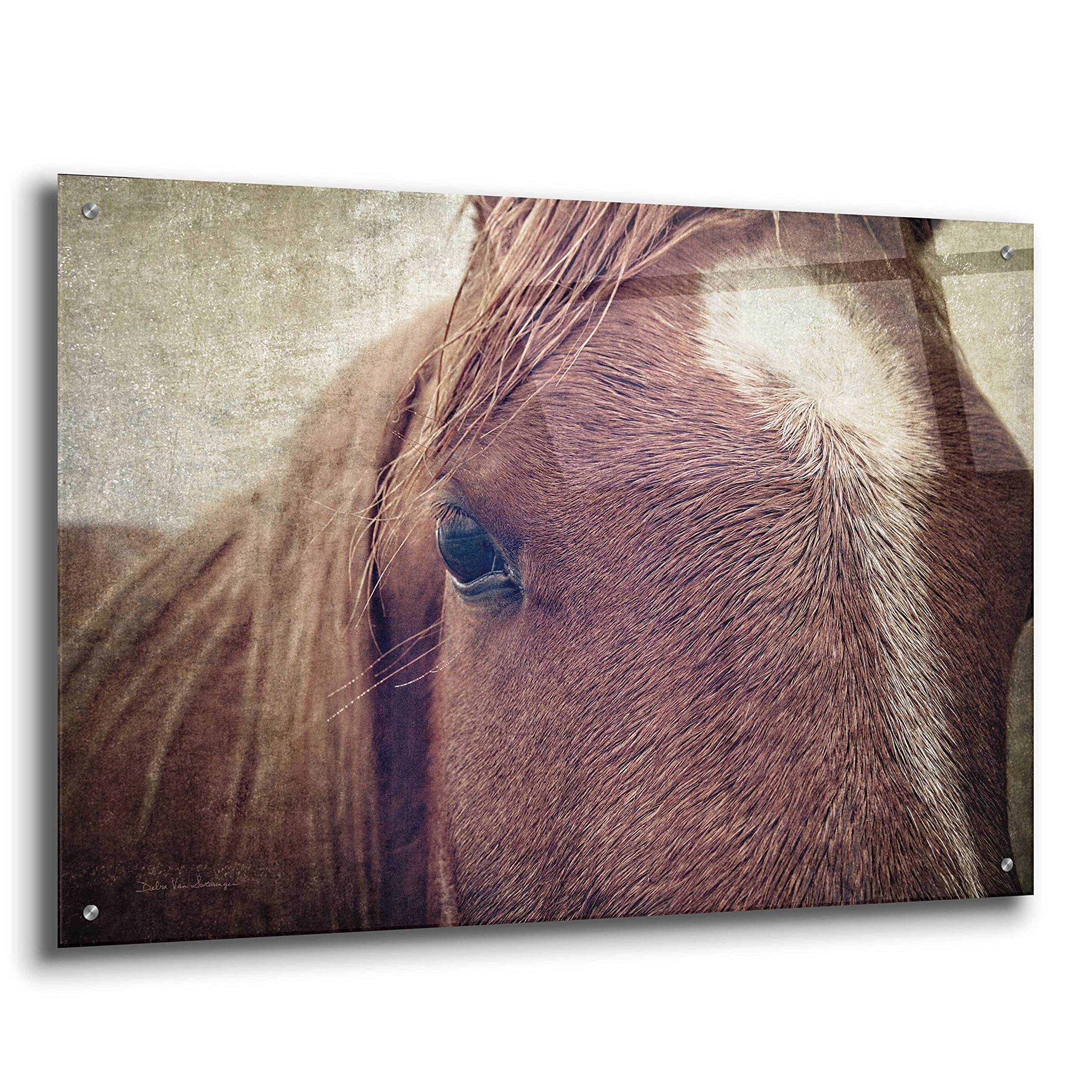 Epic Art 'Dew Lashes' by Debra Van Swearingen - 36x24 Inch Acrylic Glass Wall Art Painting, Modern Home Decor for Living Room, Bedroom & Office