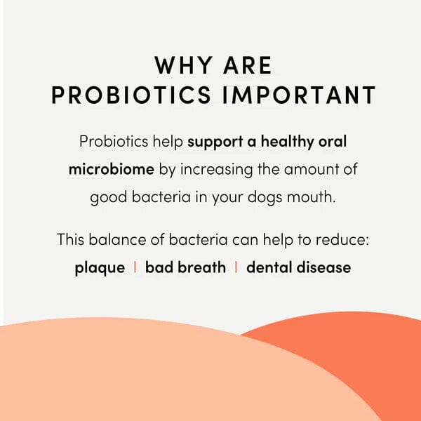 Crumps' Naturals Plaque Busters Advanced Whole Mouth Dental Sticks for Dogs - Tartar Control & Fresh Breath - Vet Recommended Dental Chews for Small, Medium & Large Breeds - Perfect for Daily Oral Care & Teeth Cleaning