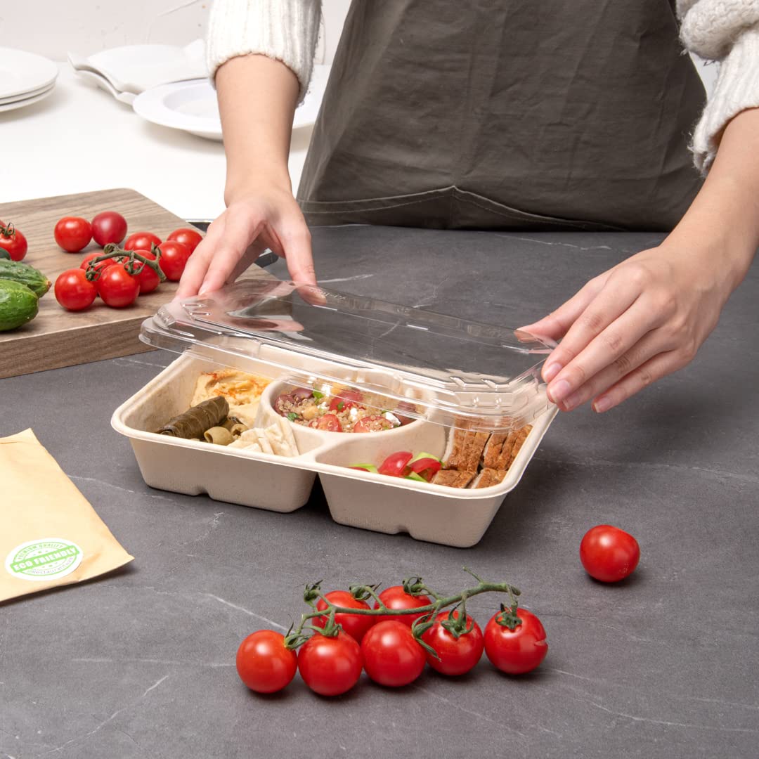 Restaurantware 100-Pack Disposable PET Plastic Lids for To-Go Containers - 9.5 x 6.4 Inch Clear Pulp Tek Lids (Containers Sold Separately) - Perfect for Food Service, Takeout Meals & Catering Events