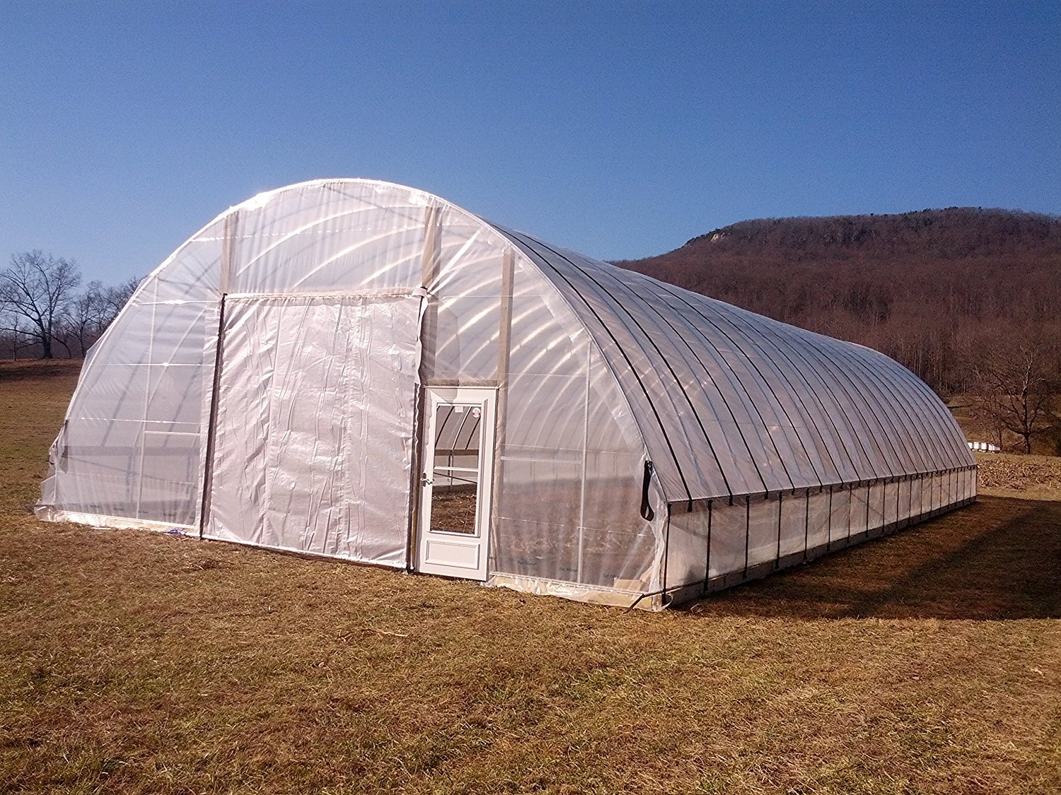 Wilson Orchard & Vineyard Supply Clear 6 mil Greenhouse Film - 4 Year UV Resistant Polyethylene Plastic Cover (24ft x 75ft) for Gardening, Plant Protection & Commercial Farming