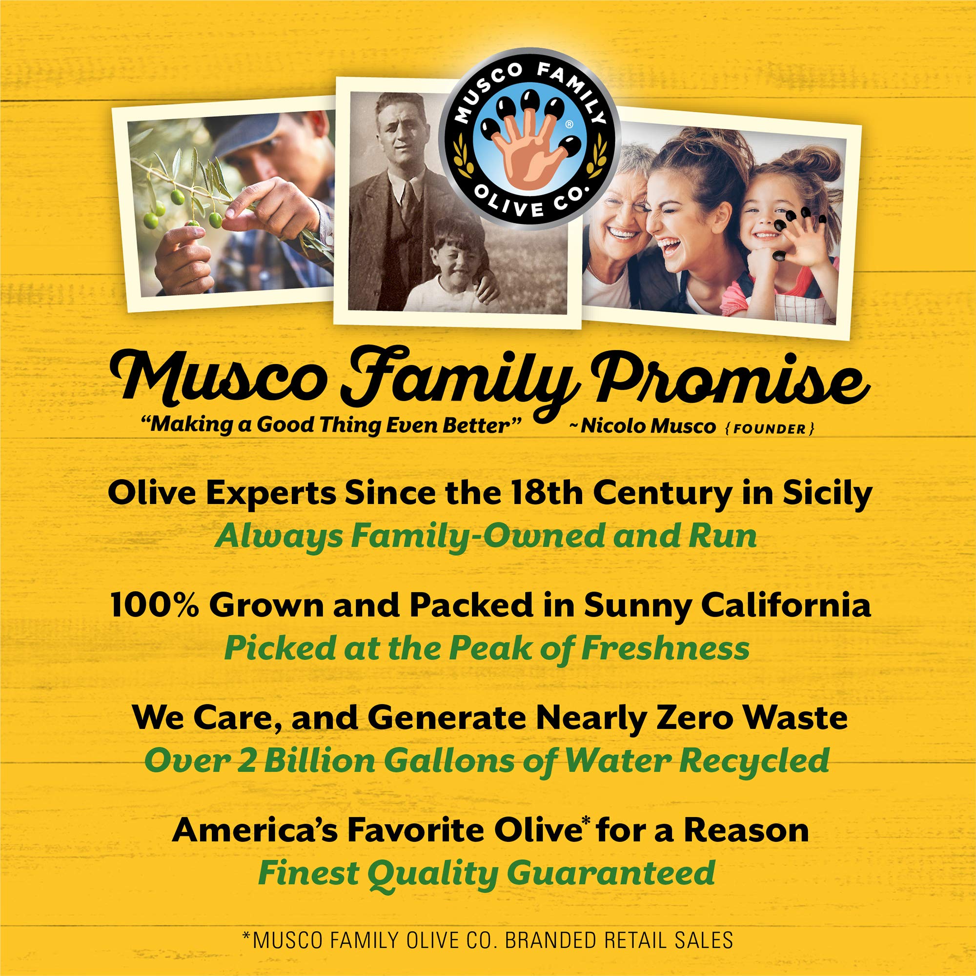Early California Ripe Pitted Medium Black Olives - 6 Ounce Can | Perfect for Salads, Pizzas & Mediterranean Recipes