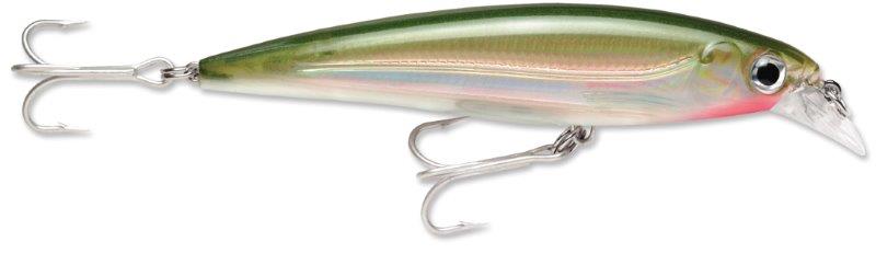 BLUE SARDINE
