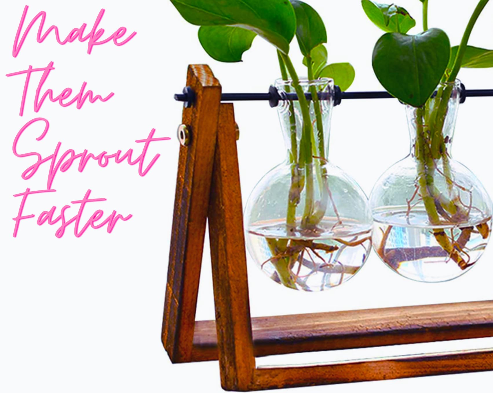 Plant Propagation Station Terrarium with Wooden Stand - 4 Glass Planters for Indoor Plants & Air Plants - Perfect for Home Decor, Office Desk, and Gift for Plant Lovers