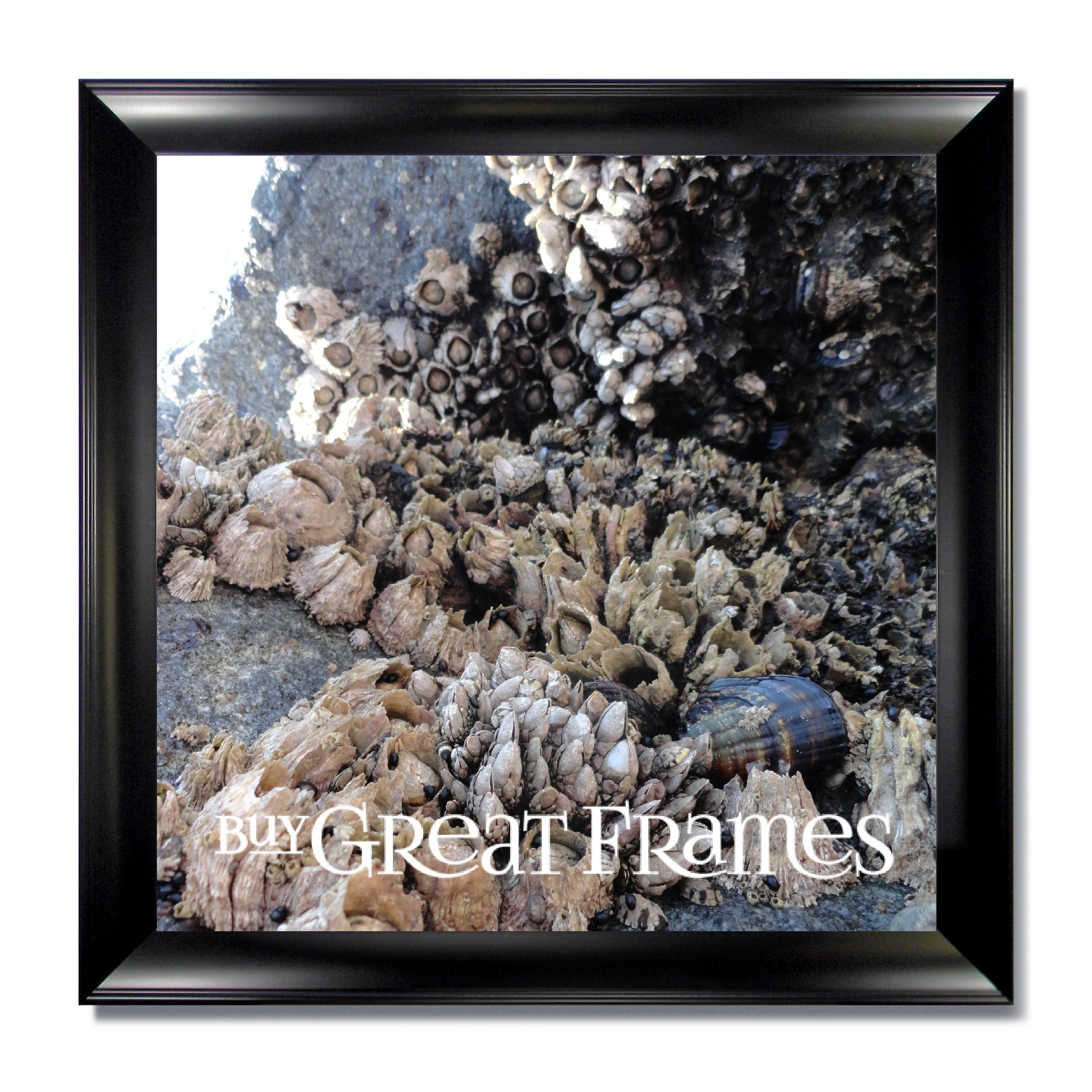 Set of 3 - 16x16 Inch Metro Black Picture Frames with Clear Glass & Backing - Perfect for Wall Gallery, Home Decor & Office Display