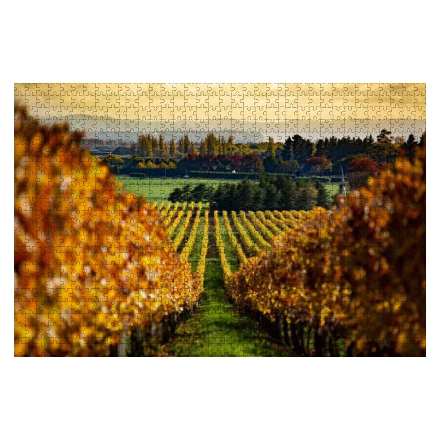 1000-Piece Wooden Jigsaw Puzzle - Autumn Vineyard in Hawkes Bay, New Zealand | Educational Puzzle for Kids & Adults | Stress Relief Game | Perfect for Family Game Night & Home Decor