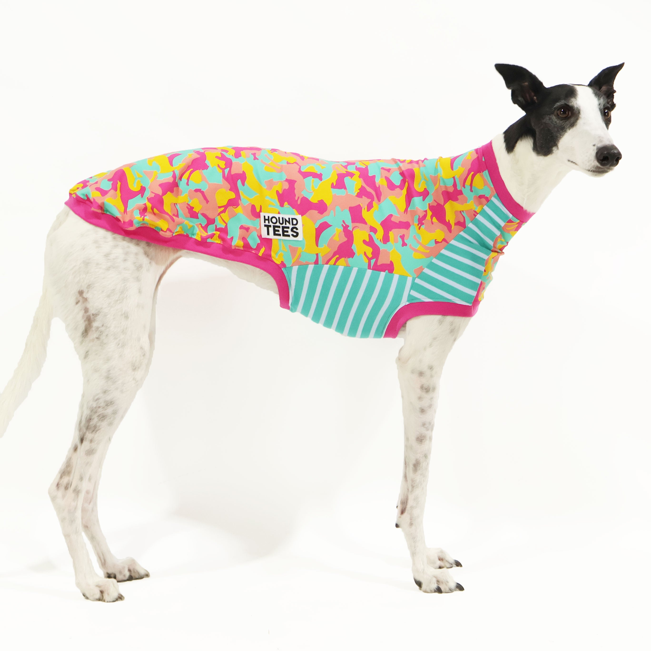 Houndini Candy Greyhound Sleeveless Dog T-Shirt for Greyhounds - Comfortable Summer Pet Apparel for Running & Outdoor Activities