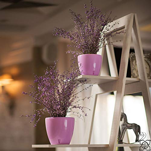 **Santino 8.8 Inch Self-Watering Plant Pots (Set of 3) - Decorative Indoor Flower Pots with Water Level Indicator & Drainage for Houseplants, Herbs, Succulents - Perfect for Home, Office, and Garden Decor**