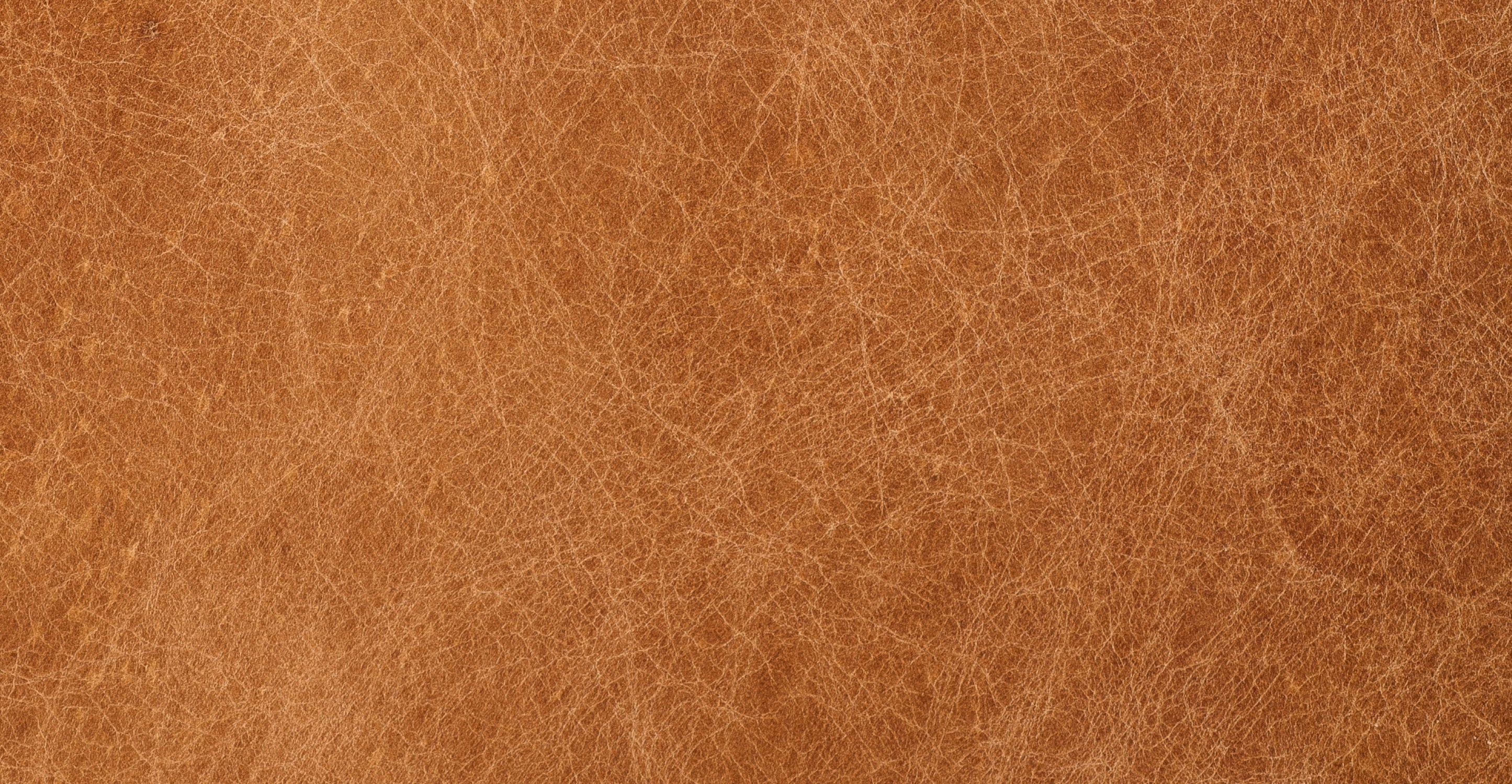Premium Lando Leather Dining Chair - Modern & Comfortable Leather Upholstered Seat for Home, Restaurant, Office - Perfect for Dining Room, Kitchen, Conference Room & Lounge