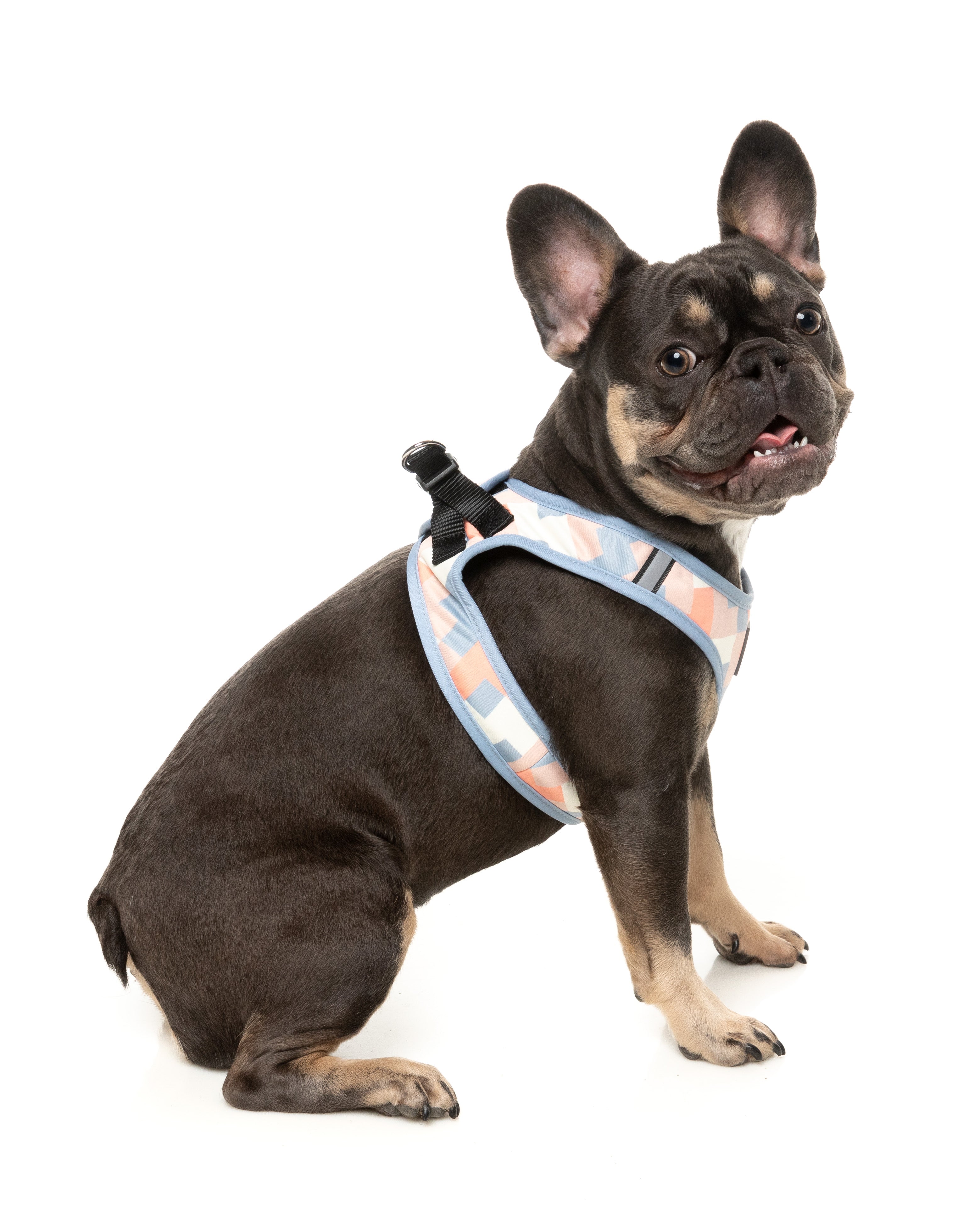 FuzzYard YAZD Dog Step In Harness - Adjustable No-Pull Pet Vest for Small & Medium Dogs - Perfect for Walking, Training & Outdoor Adventures
