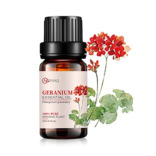 Geranium