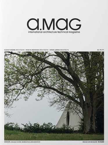 AMAG 28: Clancy Moore, Ryan W. Kennihan, Steve Larkin - Exclusive Art Book for Collectors & Enthusiasts | Perfect for Home Decor, Gifts & Art Exhibitions