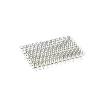 Amplifyt 96-Well PCR Plates - Low Profile, Non-Skirted, Cuttable, Clear (Pack of 100) - Ideal for PCR Experiments, DNA Amplification & Molecular Biology Research