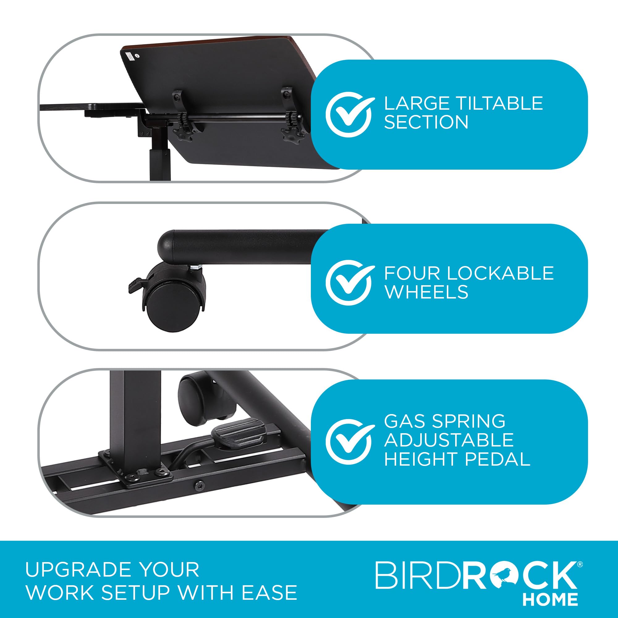 BIRDROCK HOME 30
