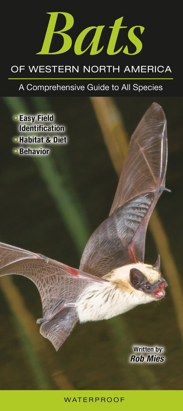 Bats of Western North America: Comprehensive Guide to All Species | Wildlife Study, Nature Exploration & Conservation Reference