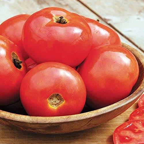 Premium Iron Lady F1 Hybrid Tomato Seeds - 20 Count Pack - Disease Resistant, High Yield Tomato Plants for Home Garden, Greenhouse & Container Gardening