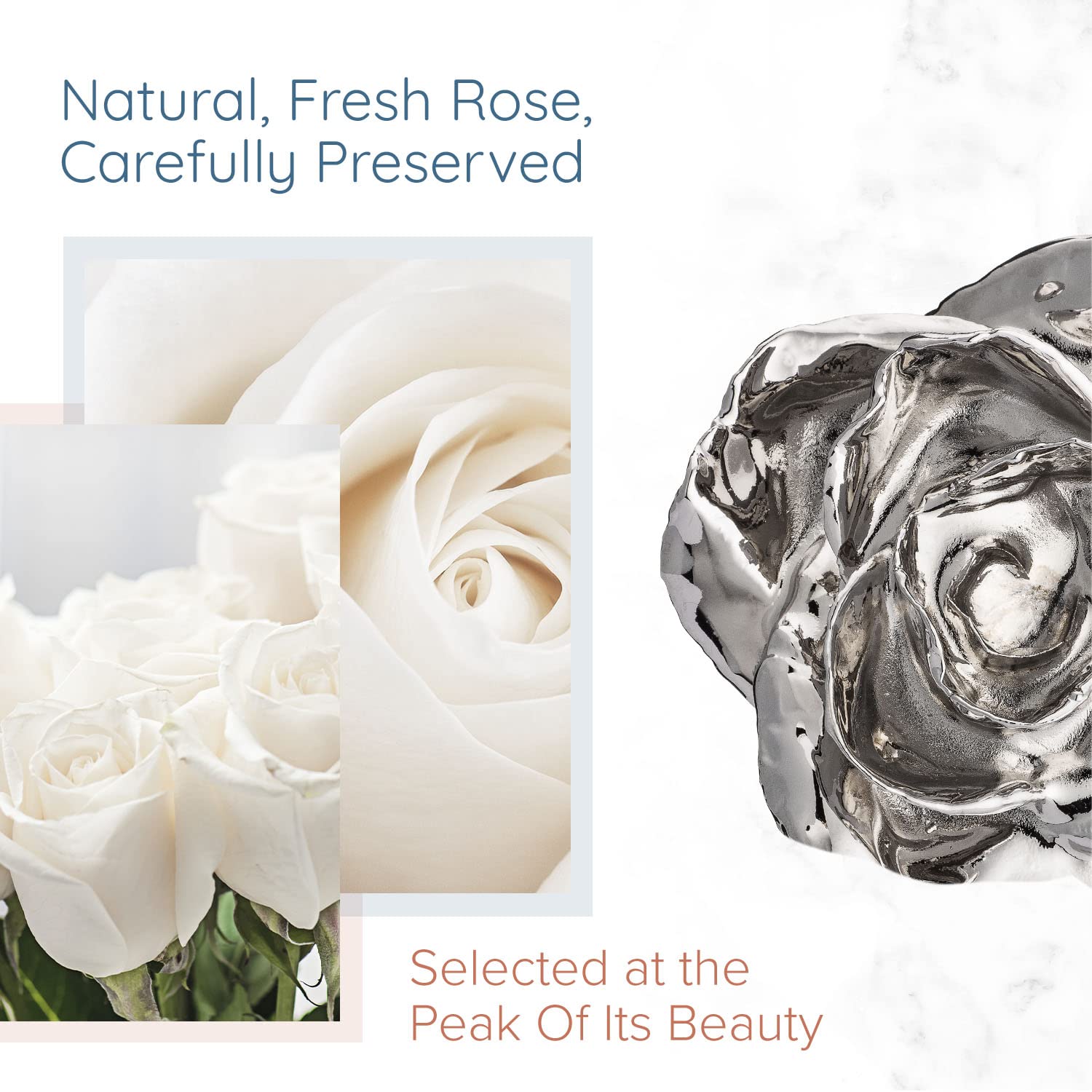 Platinum Dipped Rose - Real 11-12 Inch Preserved Rose Hand Dipped in Platinum | Luxury Gift for Anniversary, Valentine's Day & Wedding Decor